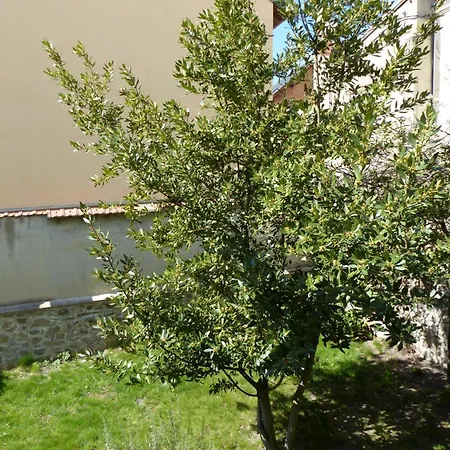 Maison Familiale Au Calme Avec Jardin Clos, Proche Thermes - Fr-1-489-563 Нери-ле-Бен